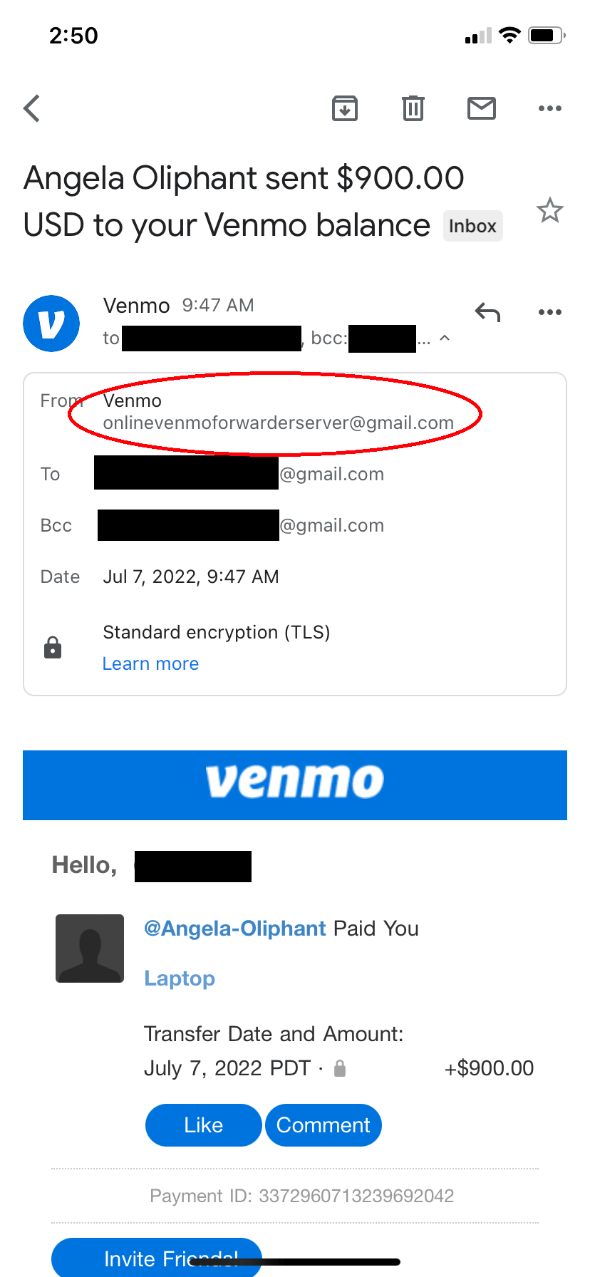 scammer-email3.png